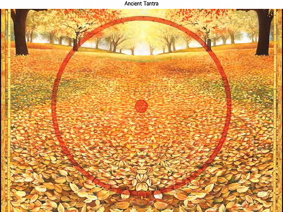 Margot ANAND - Photos DVD - 6
