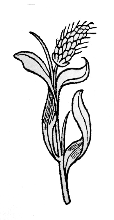 Dscn0386