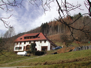 DSCN0551