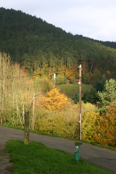 IMG_2738.JPG