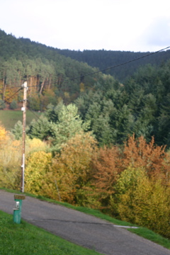 IMG_2739.JPG