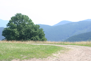 IMG_2914.JPG
