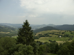 PICT0093.JPG