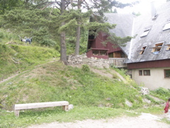 PICT0078.JPG