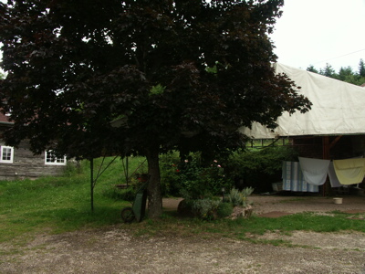 PICT0130.JPG
