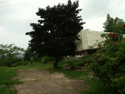 PICT0133.JPG