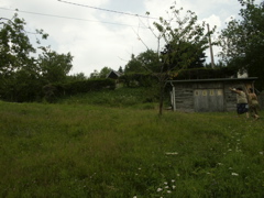 PICT0122.JPG