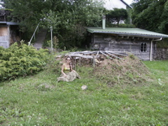 PICT0124.JPG